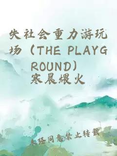 失社会重力游玩场（THE PLAYGROUND）