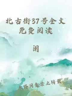 北古街37号全文免费阅读