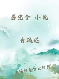 盛宠令 小说