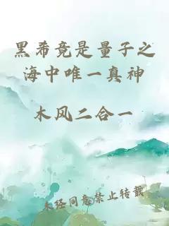 黑希竟是量子之海中唯一真神