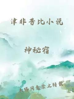 津非昔比小说