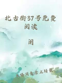 北古街37号免费阅读