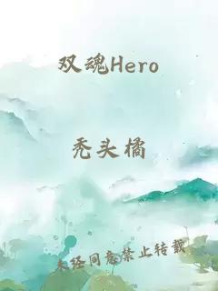 双魂Hero