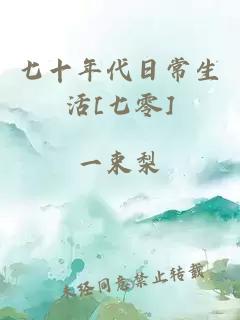 七十年代日常生活[七零]