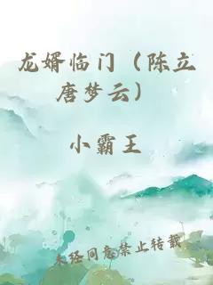 龙婿临门（陈立唐梦云）