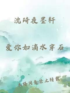 沈琦夜墨轩