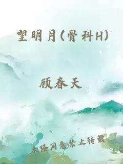 望明月(骨科H)