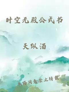 时空元殿公式书