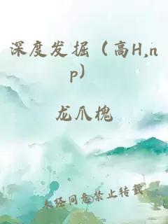 深度发掘（高H,np）