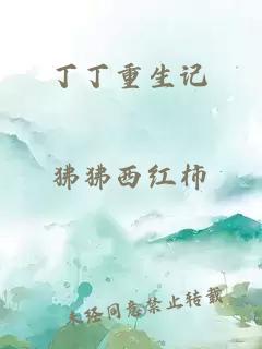 丁丁重生记