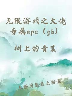 无限游戏之大佬专属npc（gb）