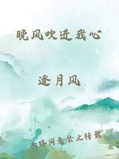 晚风吹进我心