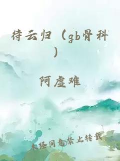 待云归（gb骨科）