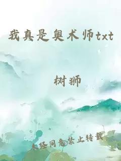 我真是奥术师txt