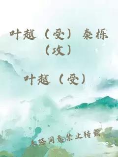 叶越（受）秦栎（攻）