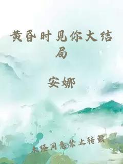 黄昏时见你大结局